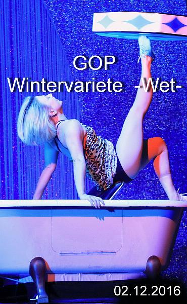 2016-12-01 21-21-28.JPG